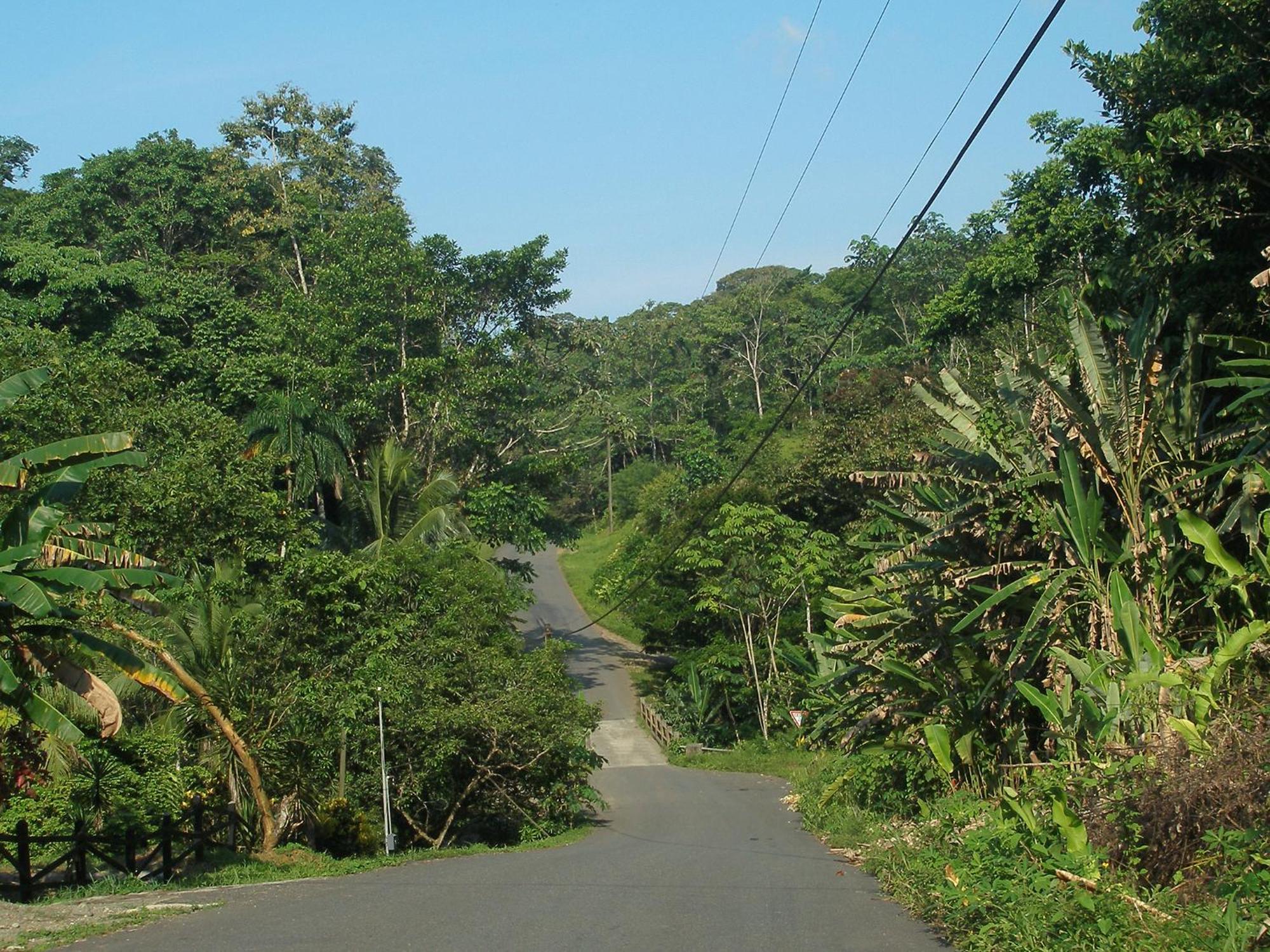 El Colibri Lodge มันซานีโย ภายนอก รูปภาพ