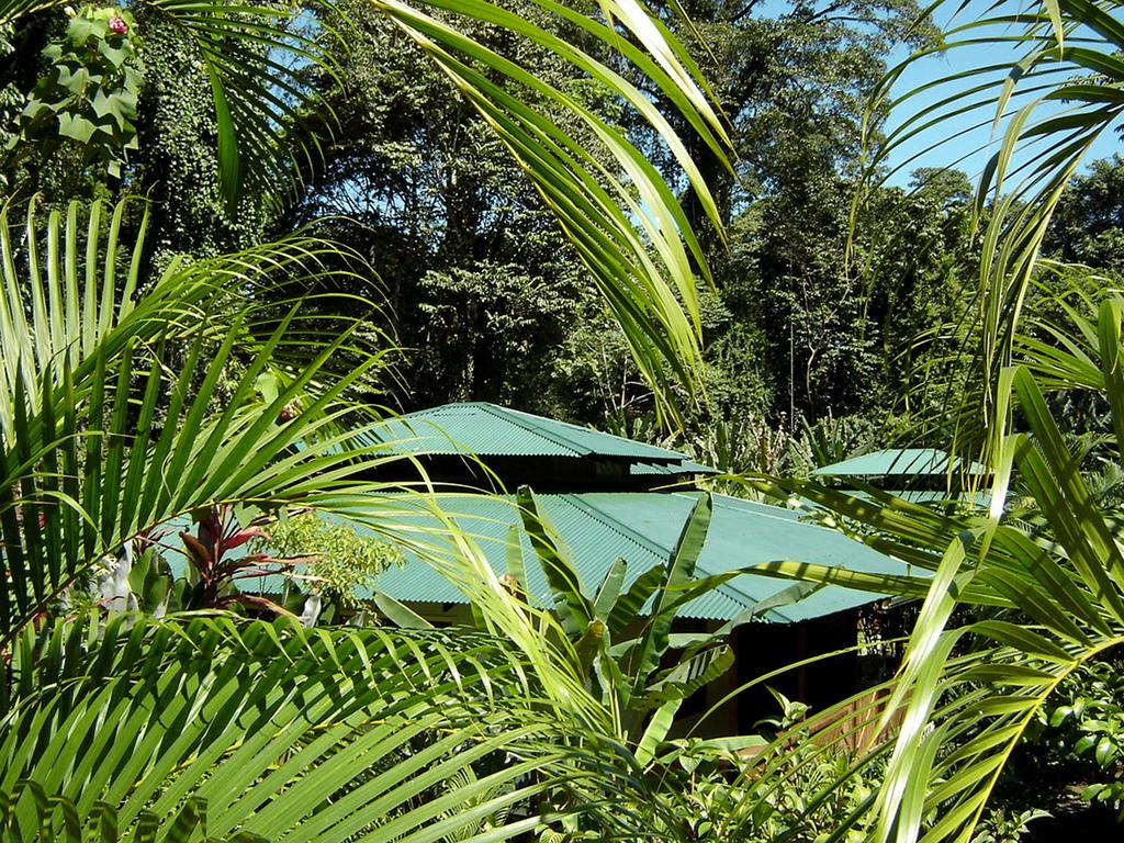 El Colibri Lodge มันซานีโย ภายนอก รูปภาพ