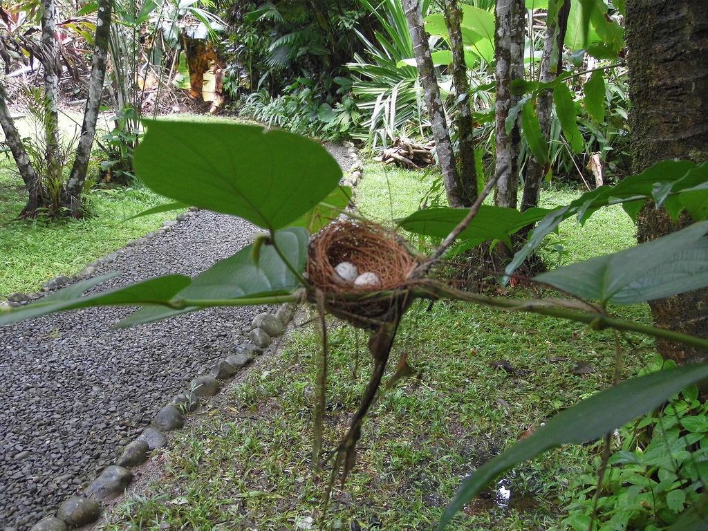El Colibri Lodge มันซานีโย ภายนอก รูปภาพ