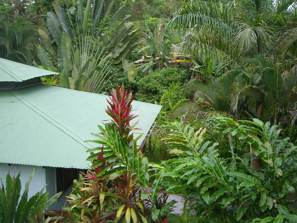 El Colibri Lodge มันซานีโย ภายนอก รูปภาพ