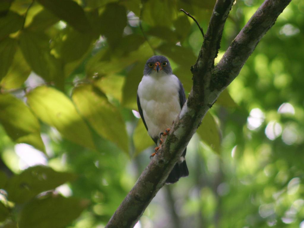 El Colibri Lodge มันซานีโย ภายนอก รูปภาพ