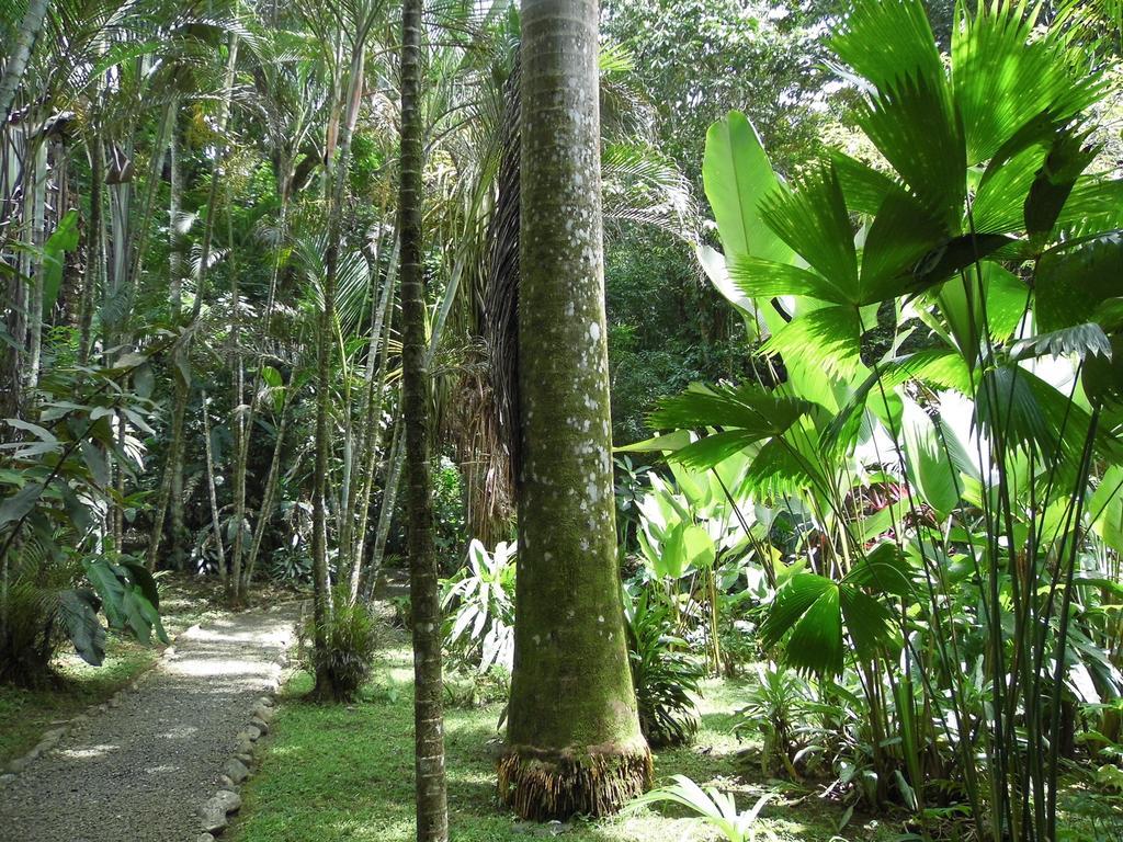 El Colibri Lodge มันซานีโย ภายนอก รูปภาพ